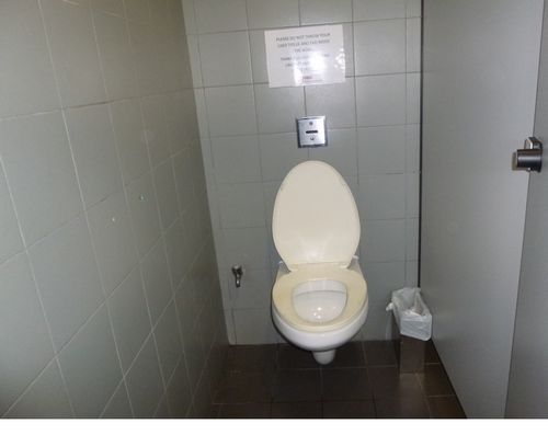 4-Star Toilet - One North MRT station 