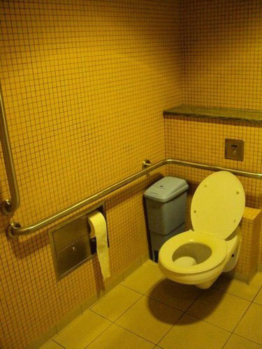 5-Star Toilet - National Library 