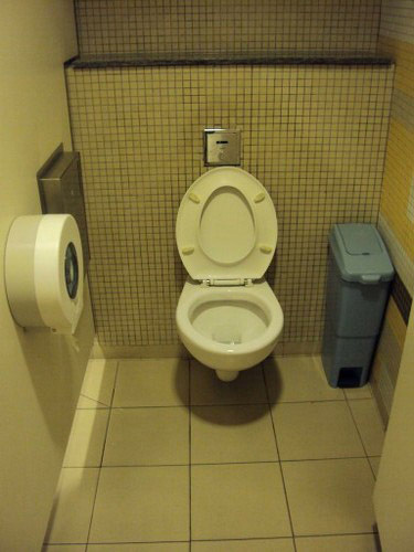 5-Star Toilet - National Library 