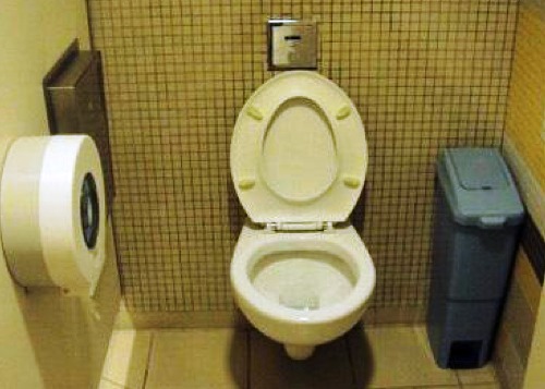 5-Star Toilet - National Library 