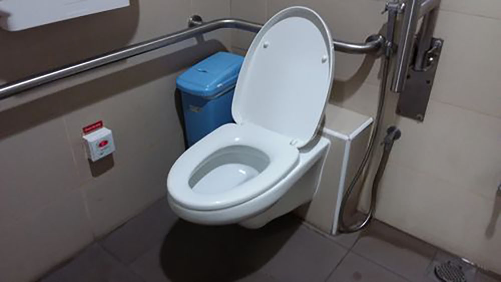 5-Star Toilet - Cleantech 2