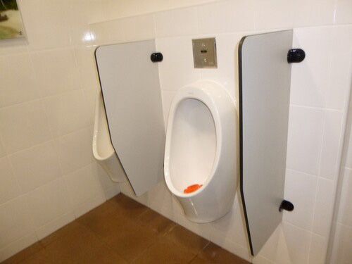 5-Star Toilet - Health Sciences Authority 