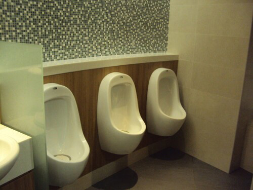 5-Star Toilet - National Environment Agency, Environment Building 